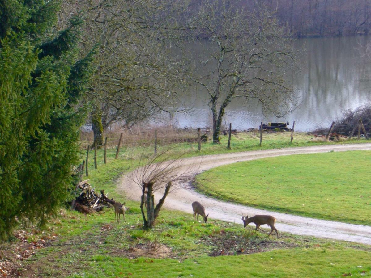 Chateau De Villeron Savigny-en-Revermont Экстерьер фото
